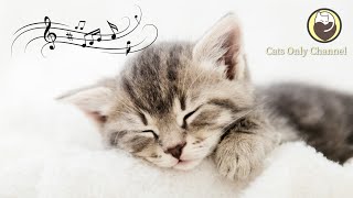 Soothing Sleep Music for Cats - Harp Music for Relaxation and Sleep