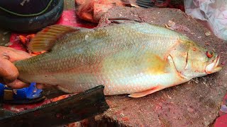 Asian Sea Bass Fish Cutting II Young Fisherman Skinning & Slicing Barramundi Fish At Fish market