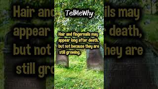 Why hair and nails grow after death? #shorts #tellmewhy