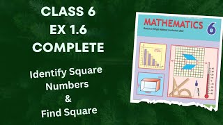 Class 6 Ex 1.6 Complete | Identify Square Numbers | Find Square