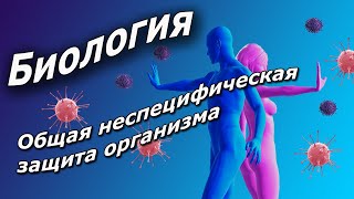 Общая неспецифическая защита организма