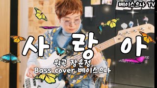 사랑아 💕 원곡 (장윤정)  Bass cover (베이스으나)