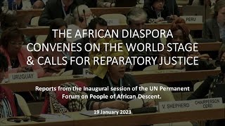 The African Diaspora Convenes on the World Stage & Calls For Reparatory Justice