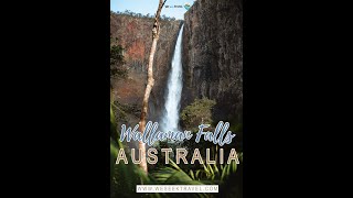 VISITING THE TALLEST SINGLE DROP WATERFALL IN AUSTRALIA - WALLAMAN FALLS