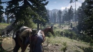 Red Dead Redemption 2 - 1st Cougar Kill