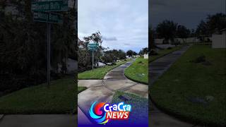 Lots of trees down after hurricane Milton #hurricane #storm