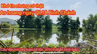 Ao hoang siêu đẹp ngay QL1A Bình Chánh | Câu đài hoang dã ✅