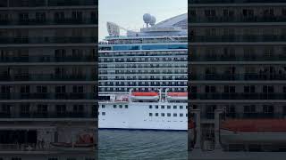 This is bigger than you think ! Cruise ship 🛳️ #shorts