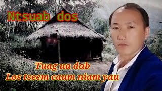 Ntsuab dos tuag ua dab caum niam yau 06-13-2024