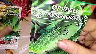 Не спится,что сажать в огороде?