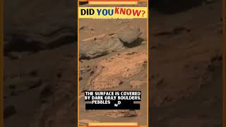 The moon's rocky surface | facts | motivation #shorts