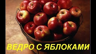 Поступайте с людьми так, как хотели бы , чтоб поступали с вами!!! Притча