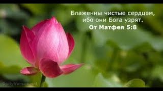 "Блаженны чистые сердцем" протоиерей Михаил Швалагин