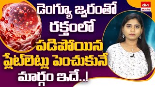 Dengue Fever | Platelets Count Speed Increase Foods | ప్లేట్‌లెట్లు పెంచుకునే మార్గం..| Eha Health