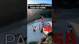 THINGS THAT ARE BIGGER THAN YOU THINK #random #reels #trending #bigger #thoughts #shorts