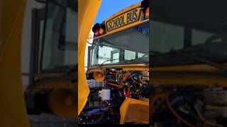 Why is the yellow color used in school buses? 🤯🤯 || #shorts #viral #short