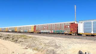 Union Pacific Train  4 23 24 #2