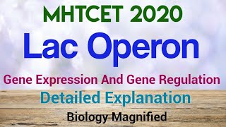 Lac Operon For MHTCET 2020| Gene expression and gene regulation | MHTCET biology lecture | genetics