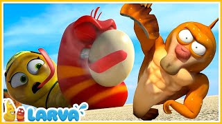 ตัวอ่อนการ์ตูน LARVA 🐌 นัดบนสุด 🐍 การ์ตูนหนอนหรรษาตอนใหม่ล่าสุด 🐵 การ์ตูนหนอน | SMToon Thai