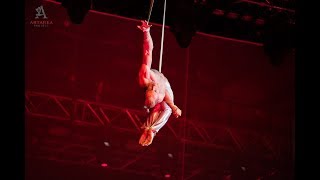 aerial straps - Go Proshin