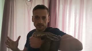 Why Am I not Afraid to Hold this Snake !