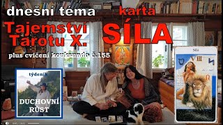 Tajemství TAROTU X. : Karta SÍLA a jak se spřátelit se lvem plus kompletní cvičení kouksundo č. 155