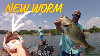 BASS will EAT THIS WORM, BIG SACK!  Guntersville