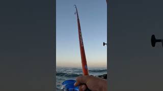 SURFCASTING CHUDU