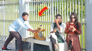 Fake Tiger Prank on Public Part-3 ! Tiger vs Crazy Girl Prank Video ! Can't Loughs Alone.