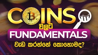 Market එකට Fundamentals බලපාන්නේ කොහොමද ?