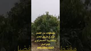 مقتطفات من اجمل مزارع طريق مصر اسكندرية الصحراوي