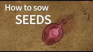 How to sow seeds