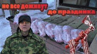 ЕСЬКИН КРОЛИК РАЗВЕДЕНИЕ И СОДЕРЖАНИЕ КРОЛИКОВ