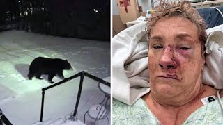 The Horrifying Recent Bear Attack In Butler, PA