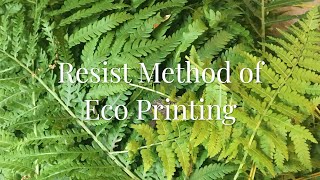 Resist Method of Eco Printing with Myrobalan