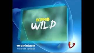 GMA - Born To Be Wild and Ibilib Sponsor Bumpers (September 2021)