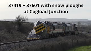 37419 and 37601 with snow ploughs at Cogload junction