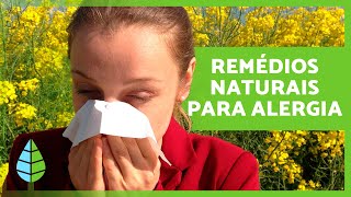 8 REMÉDIOS CASEIROS PARA ALERGIAS SAZONAIS 🤧💐