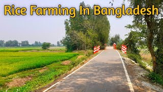 Horror Road in Bangladesh || Horror road Story ||