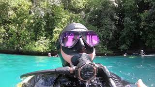 팔라우 다이빙 이로마루 렉, 샹들리에 케이브 palau diving iro maru, chandelier cave