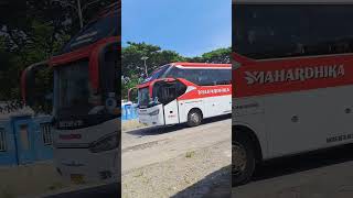 Bus Mahardhika tapi bukan yang tronton volvo di ikuti bus BRT #basuri #trukoleng