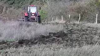 Belarus MTZ 952.2 mit Scheibenegge 🤠🚜