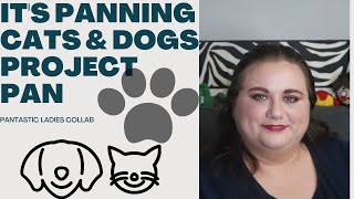 It's Panning Cats and Dogs Project Pan Update #3 / PANtastic Ladies Collab