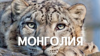 МОНГОЛИЯ | ИНТЕРЕСНЫЕ ФАКТЫ #мир  #интересныефакты  #путешествия