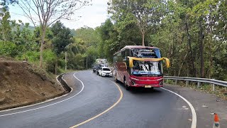 artis bus telolet bus baru langsung jadi primadona di kalangan mania