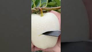 white yummy apple 😱😱😱🙏🙏🙏pls like subscribe share Thanks