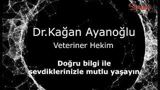 VİDEOLARA BAŞLARKEN BİLGİLENDİRME