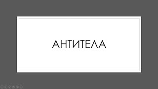 Иммунная система 2. Антитела