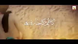 25 rajab shahadat imam musa kazim Noha WhatsApp Status 2024 | imam musa kazim ki shahadat ka waqia