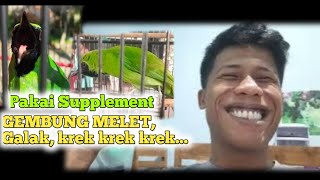 SUPPLEMENT INSTAN MURAH MERIAH BIKIN BURUNG KICAU JADI STABIL ‼️